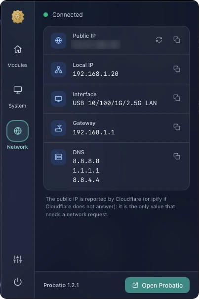 Network tab: public IP, local IP, interface, gateway and DNS, each copied with a click